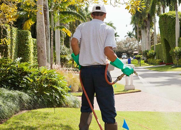 About West Henrietta NY Pest Control